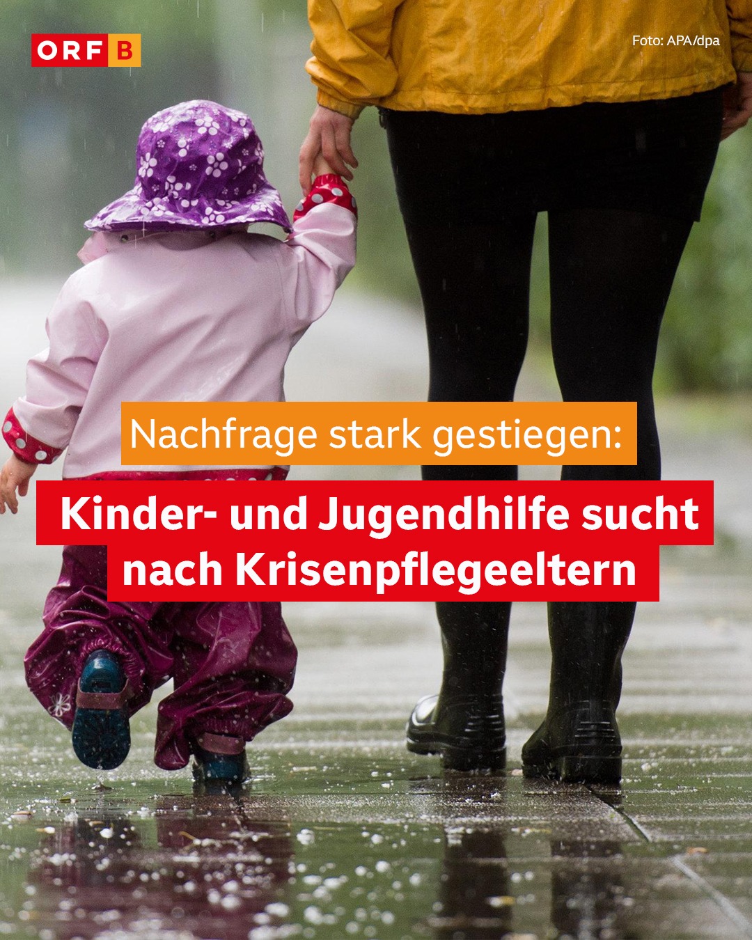 ORF Burgenland - Im Burgenland sucht die Kinder- und... | Facebook
