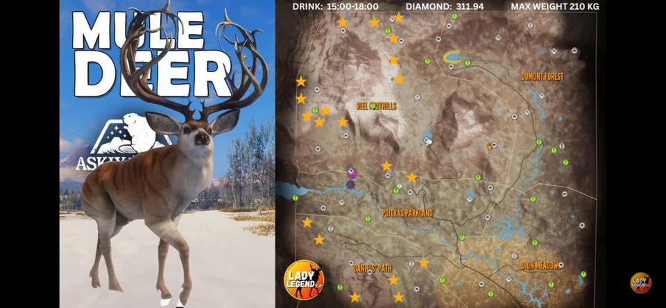 theHunter: Call of the Wild Official | What do mule deer drink and ...