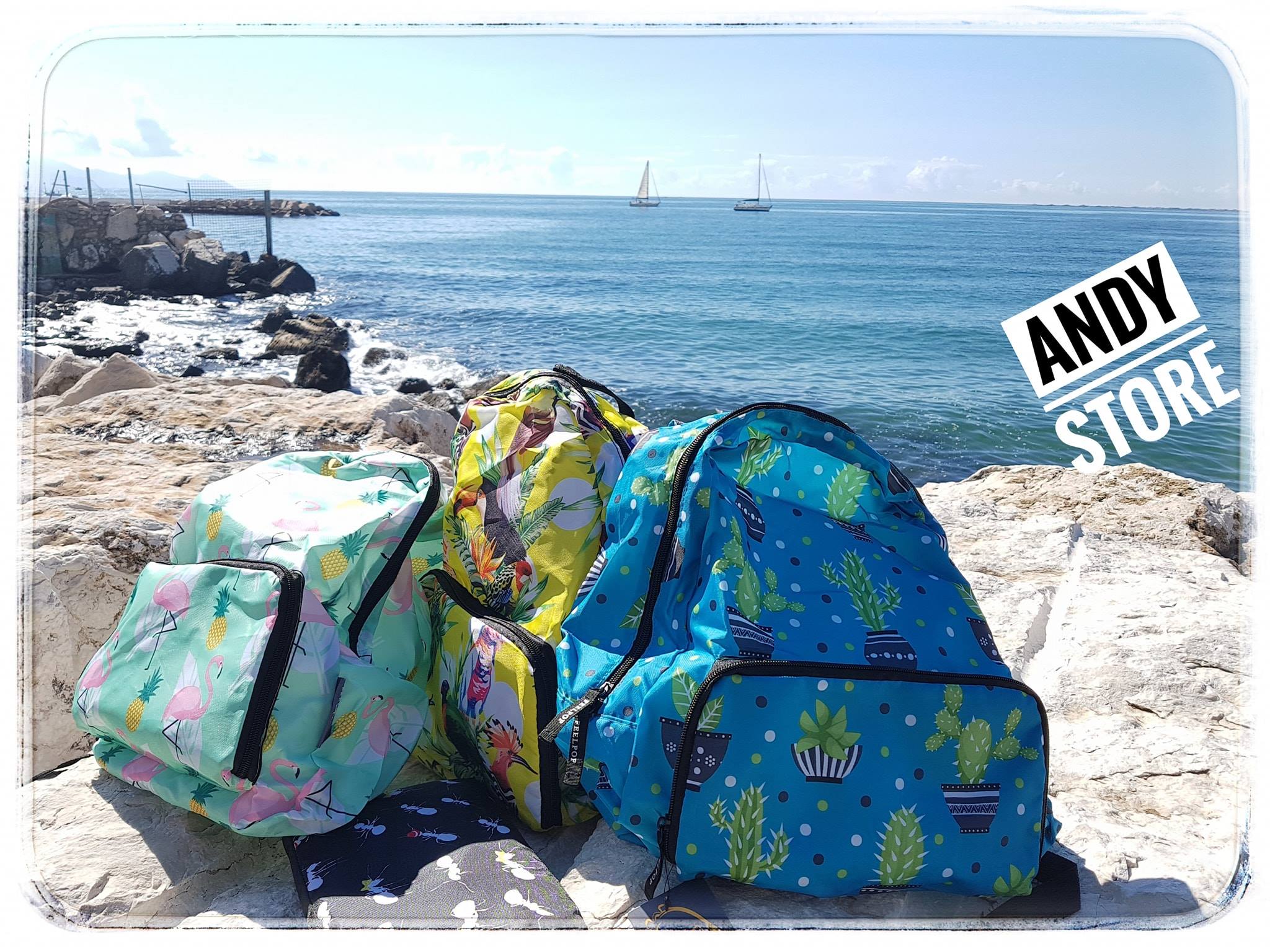 Andy Store Formia