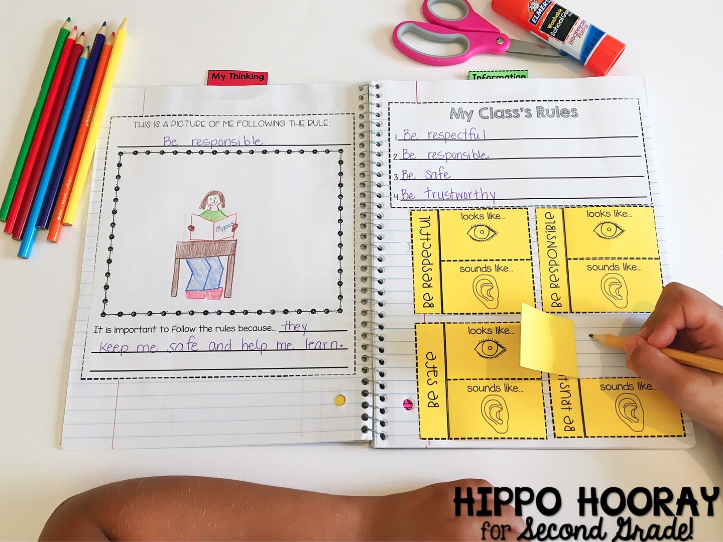 Hippo Hooray for Second Grade