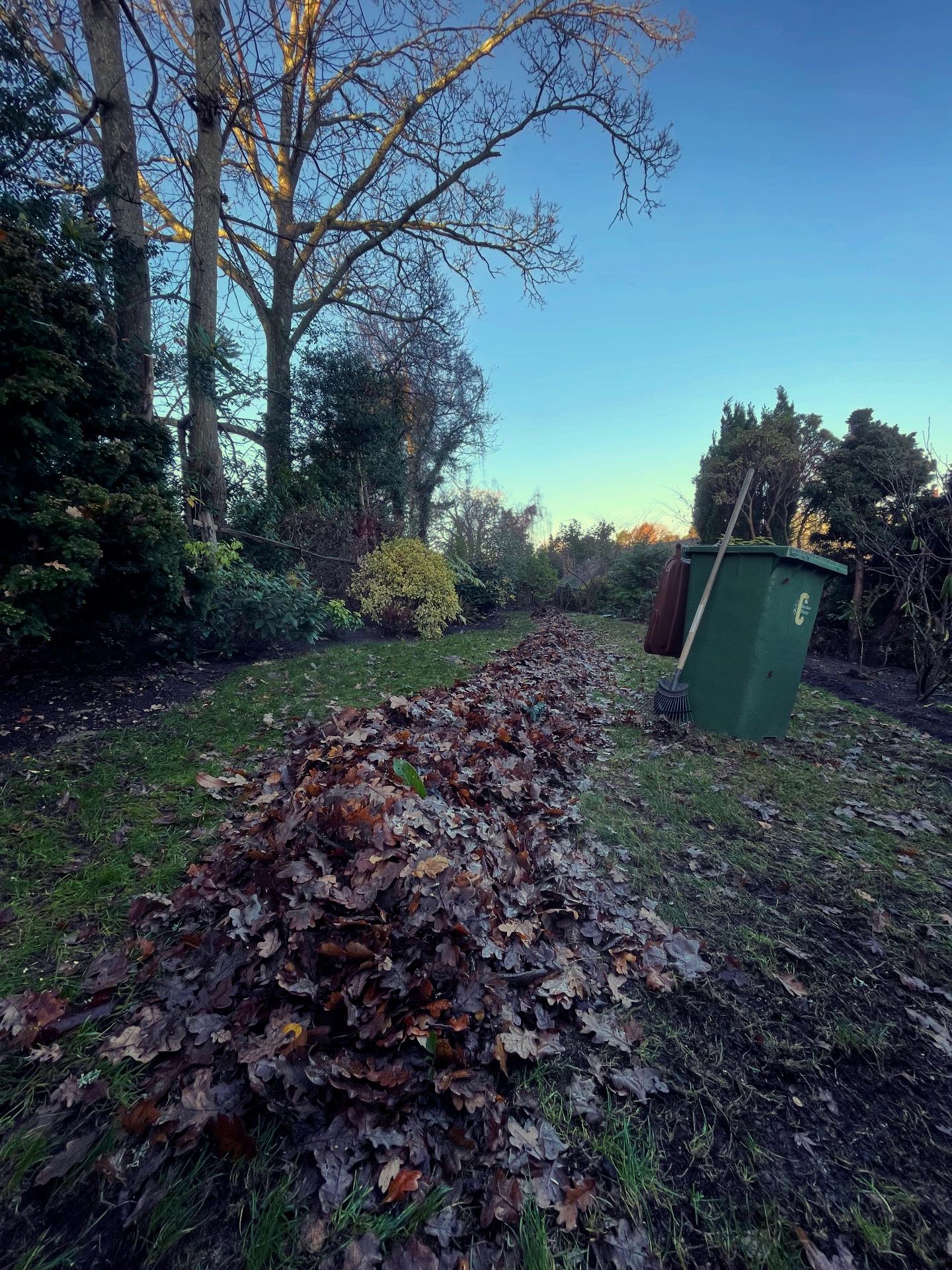 Roger Farrow Landscape & Garden Services | Lancing
