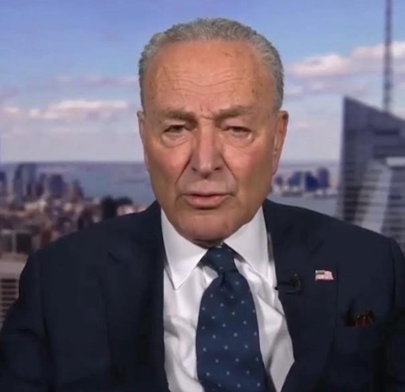David - Chuck Schumer openly admits that Democrat-appointed judges are ...
