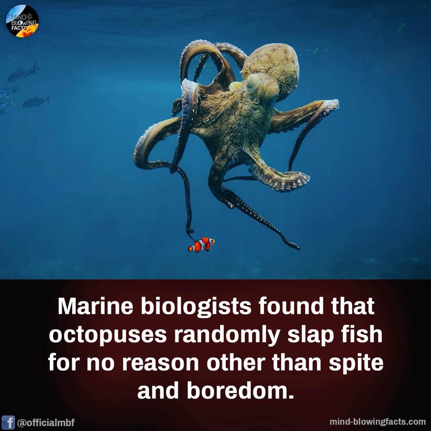 Monroe Animal Hospital added a... - Monroe Animal Hospital