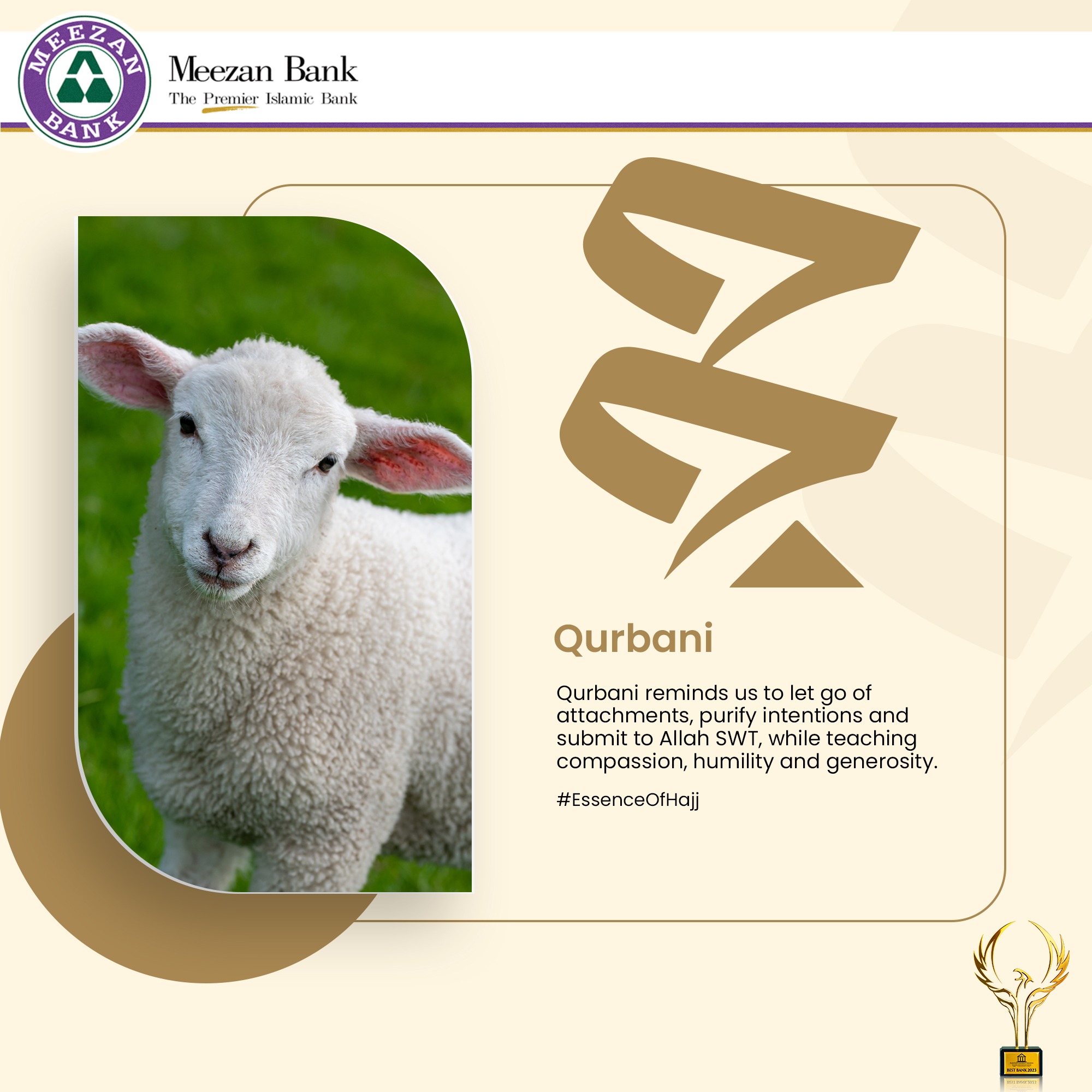 Qurbani teaches us the power of sacrifice, compassion, and sincere