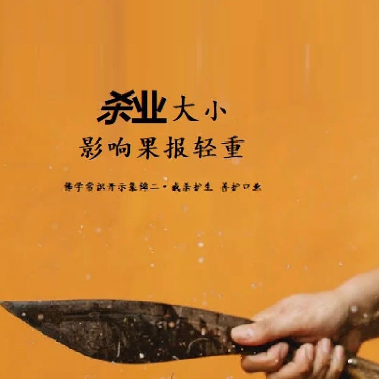 杀业大小影响果报轻重（2013年6月16日日玄艺问答）：... - 芬兰观音堂文化协会 - 芬兰心灵法门共修会