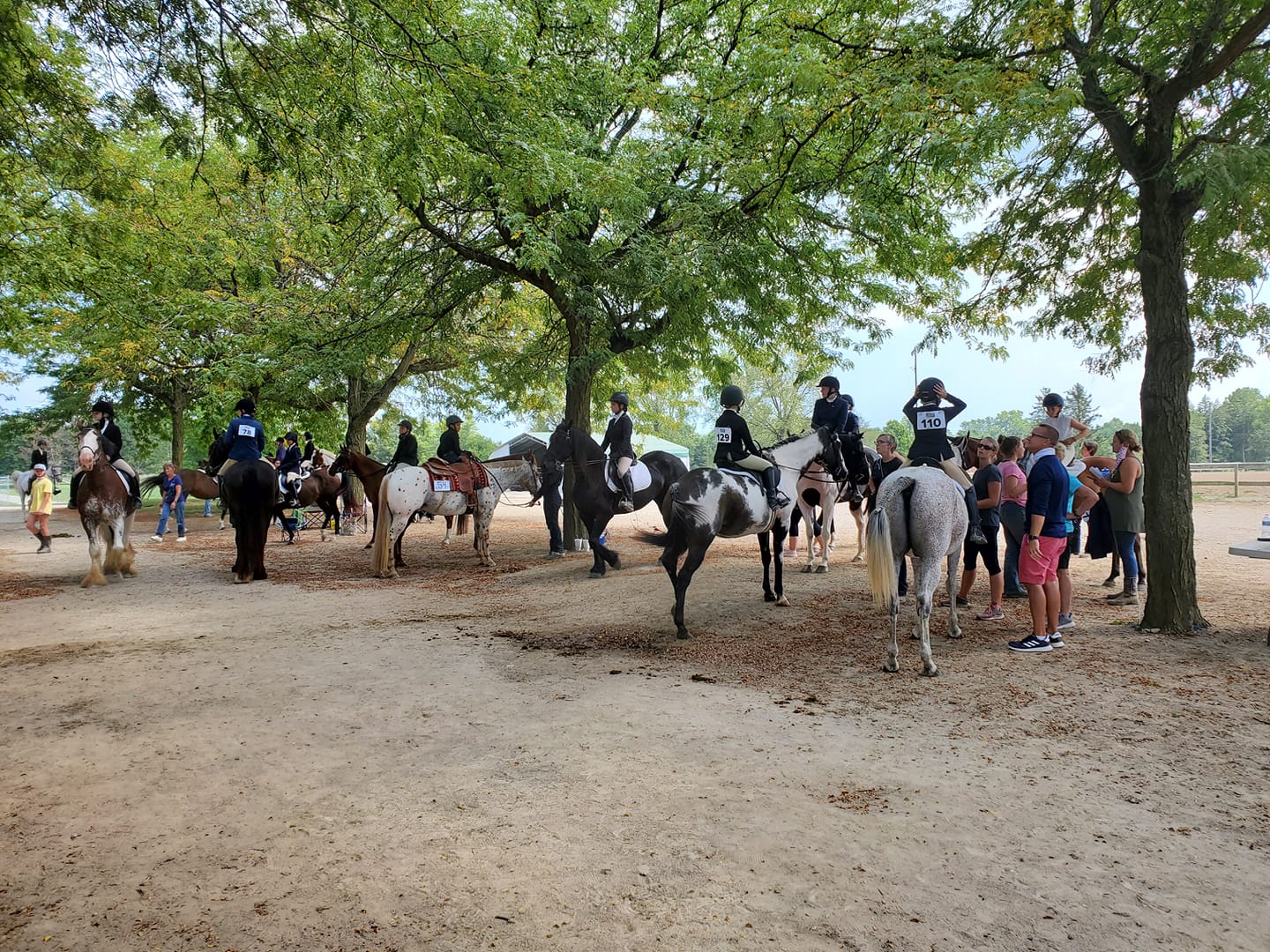 Indiana Saddle Horse Association