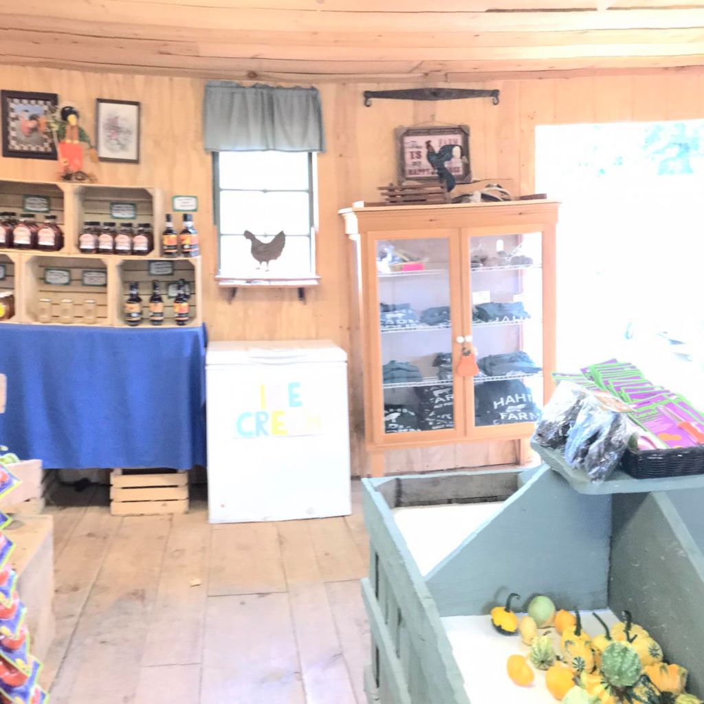 Hahn Farm | Pleasant Valley NY
