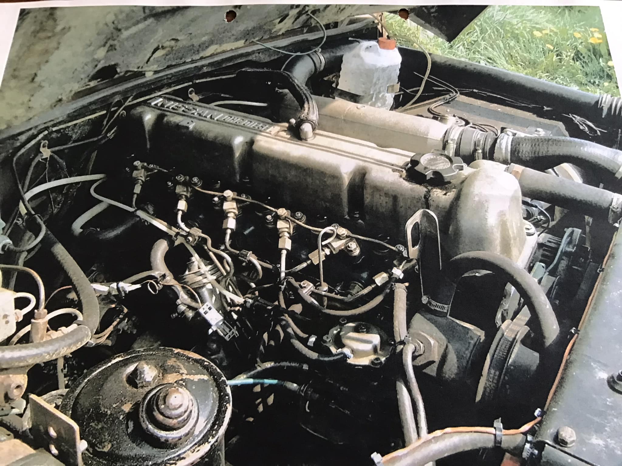 Hey did you know the nissan e23 also came with a 2.0 turbo diesel