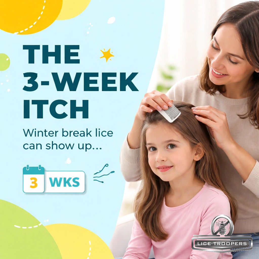 Lice - THE 3-WEEK ITCH 🗓️ Why are winter break lice showing up NOW ...