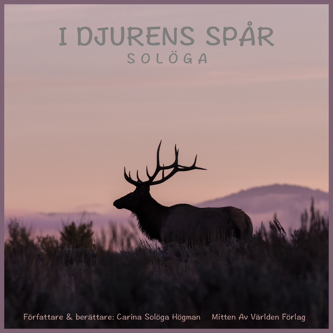 Solöga