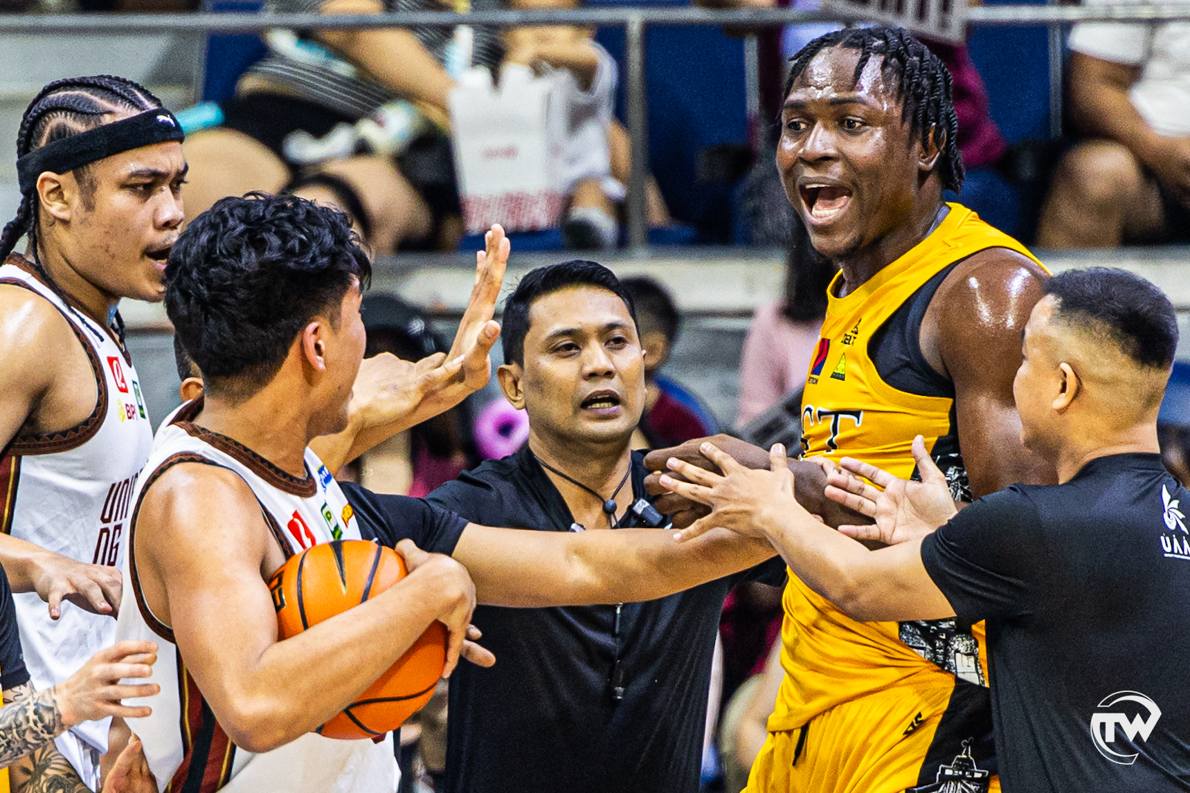 TomasinoWeb - YOU DID YOUR BEST, GROWLING TIGERS The UST Growling ...