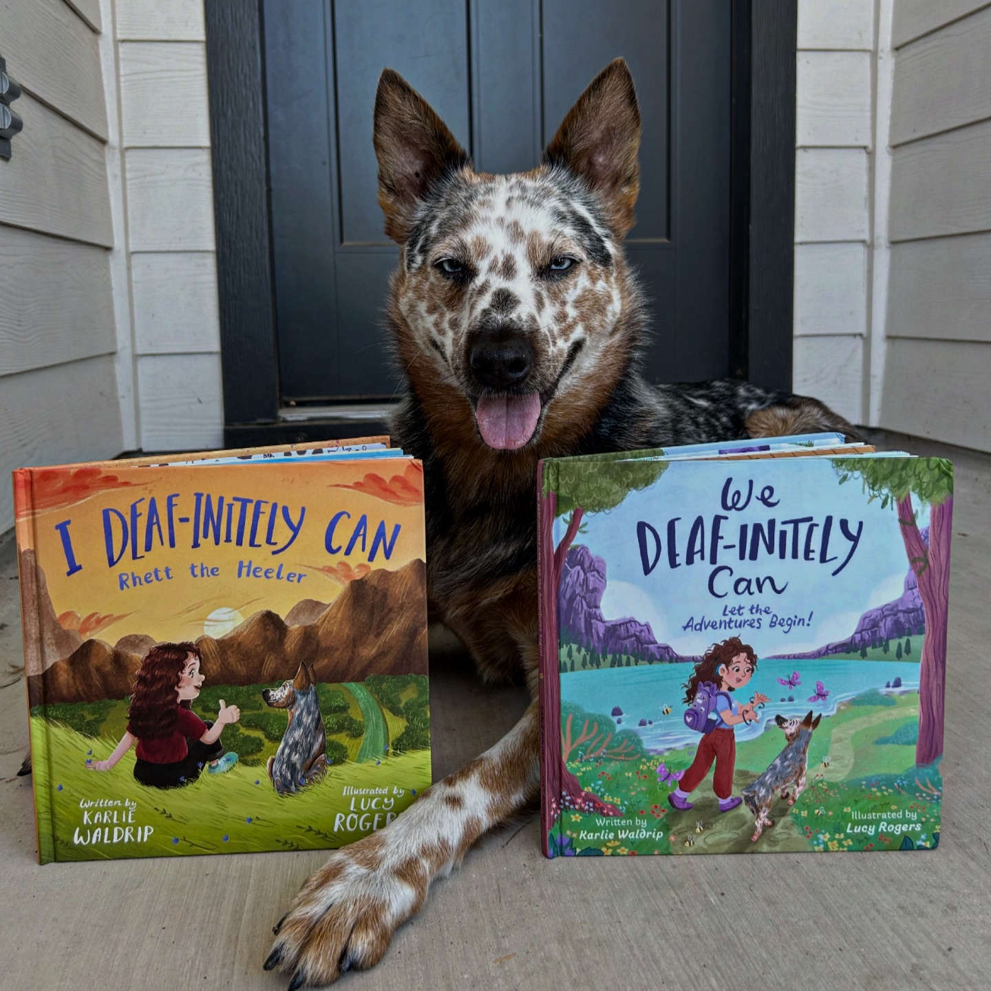rhett_the_heeler - My mom wishes she could bring me to work everyday ...