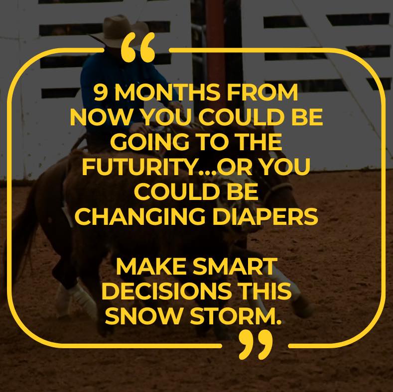 Kaytee Reiners and Performance Horses | Aylett VA