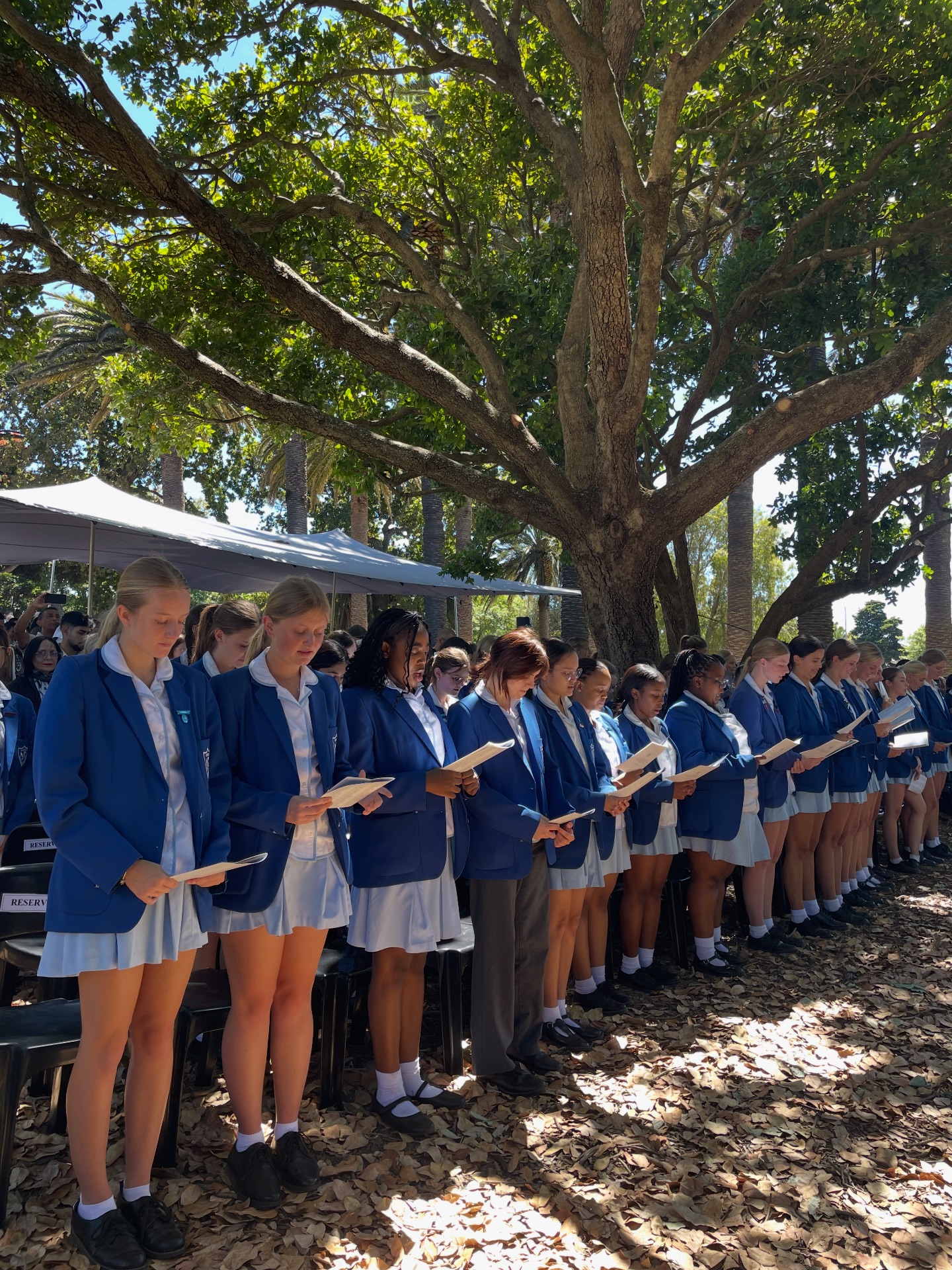 Springfield Convent School | Cape Town