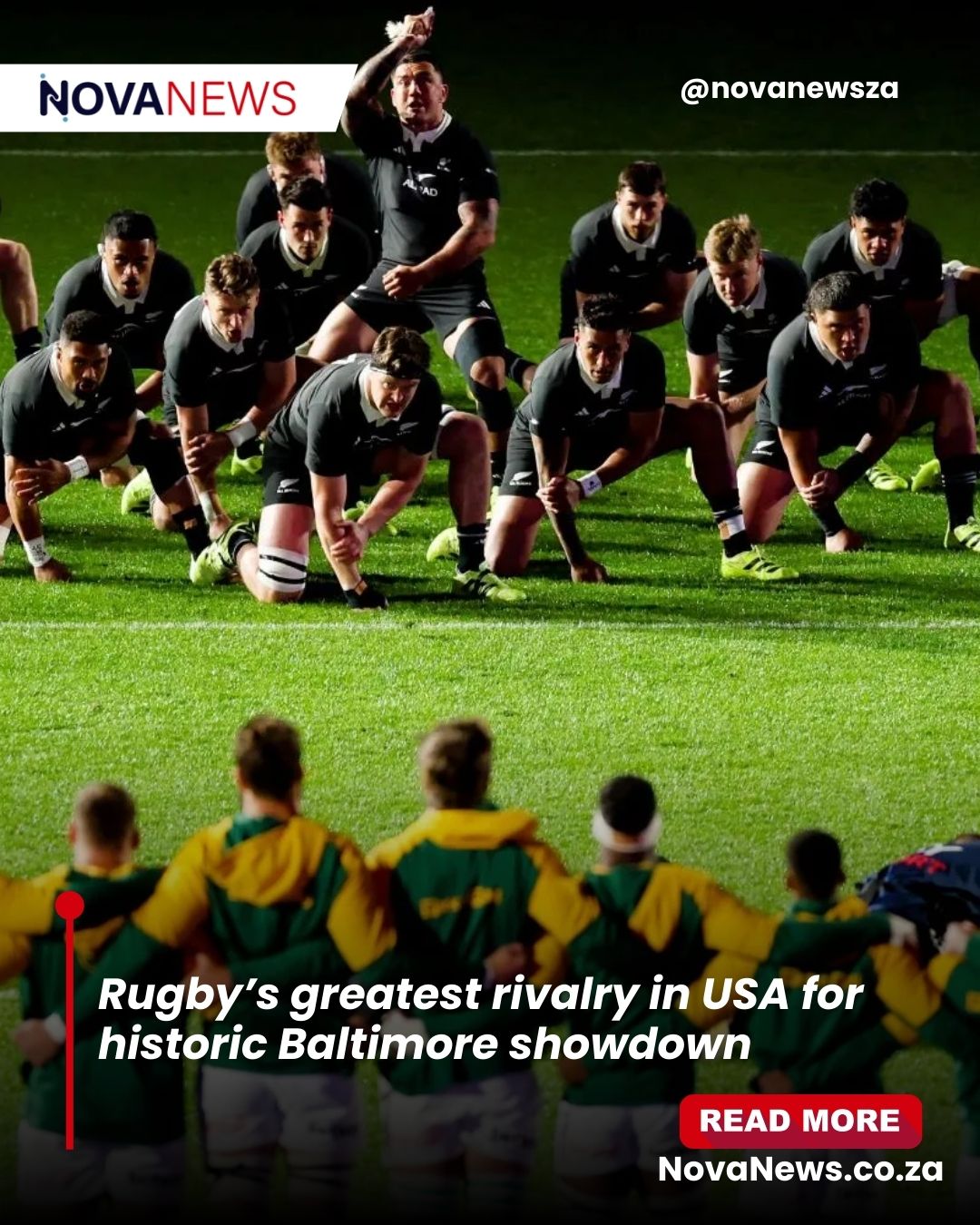 Bloemnuus - The Springboks will face New Zealand in the... | Facebook