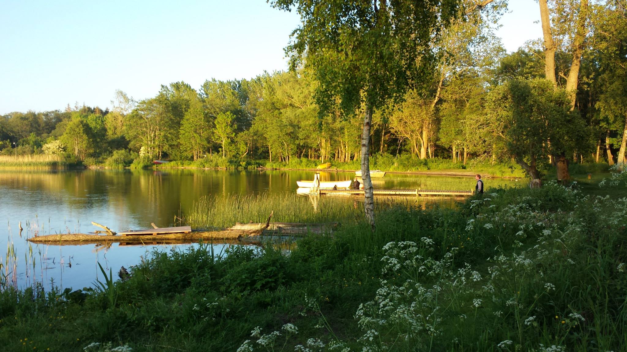 Solbjerg Sø | Solbjerg