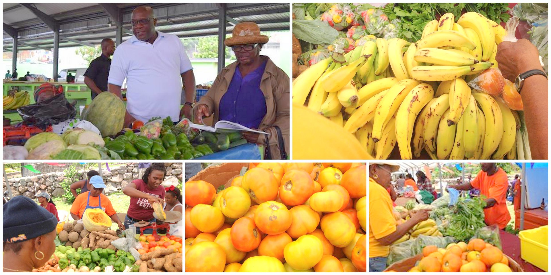 SEEDS for Change T&T By Steve Vishnu Rampersad