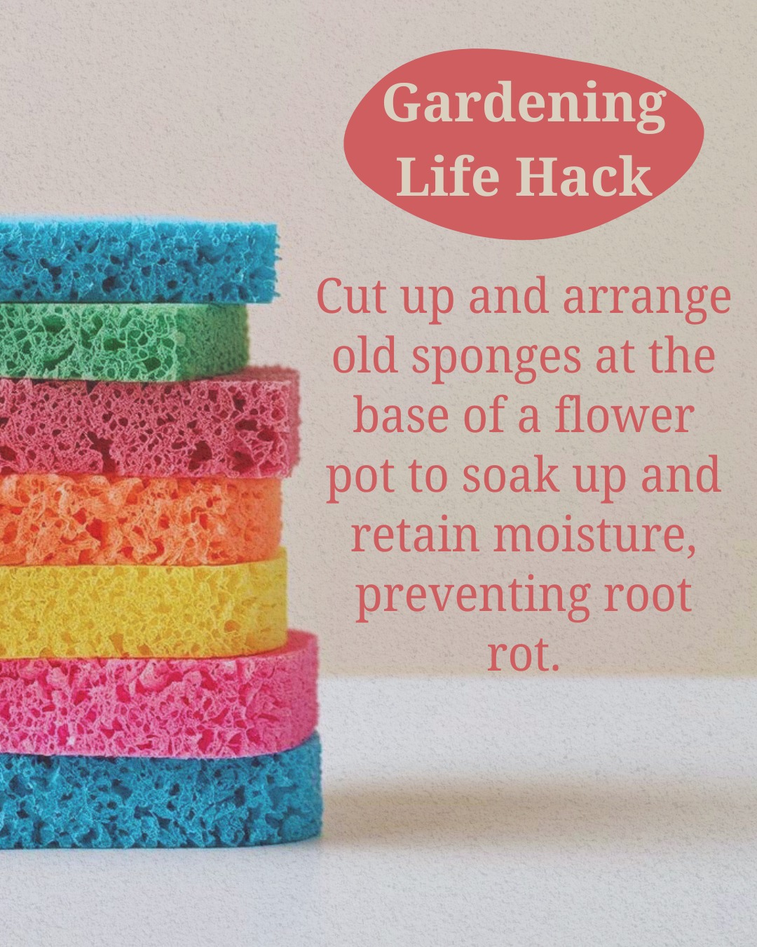 Realtor - Healthy Plant Hydration. The sponge acts as a water reserve ...