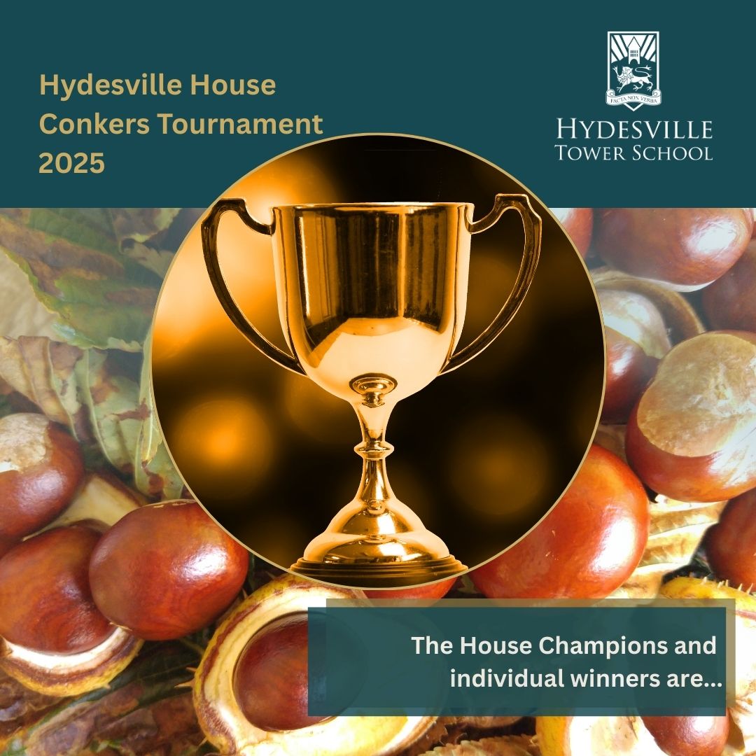 🎉 The Hydesville House Conkers... - Hydesville Tower School | Facebook