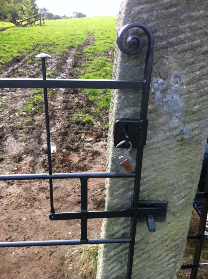 Gates and Railings, Cheshire | Cheadle