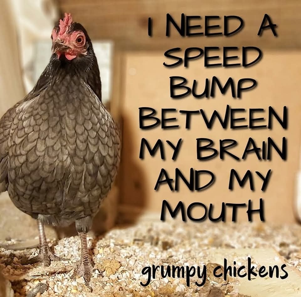 Grumpy Chickens - ~Lulu #imagrumpychicken | Facebook