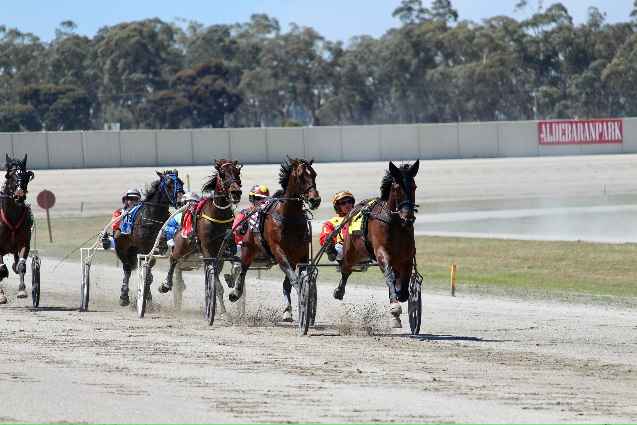 Harness Racing Victoria added a... - Harness Racing Victoria