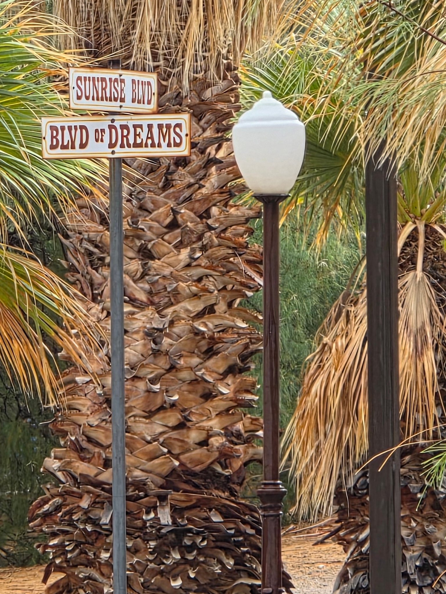 What is the history and significance of Zzyzx, California?