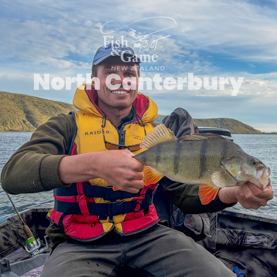 North Canterbury Field Journal | Spawning Runs, Community Connections ...