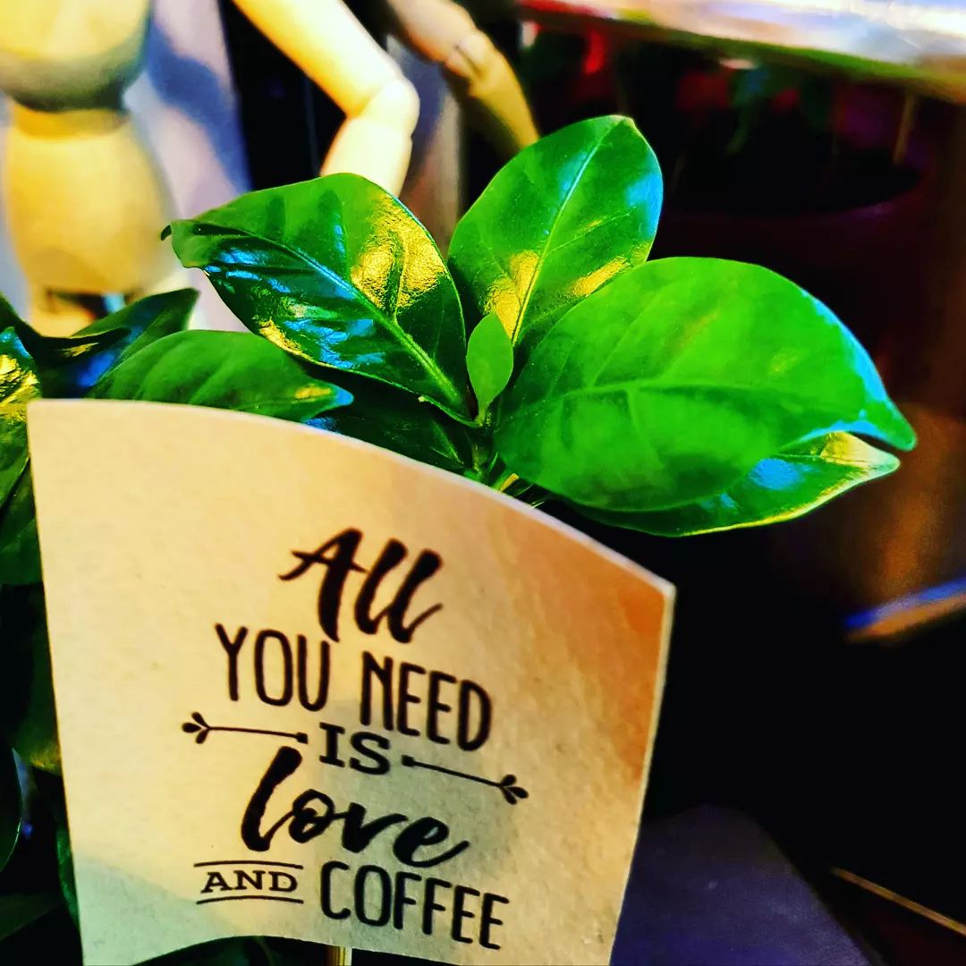 One stop tea & coffee shop | Bucharest