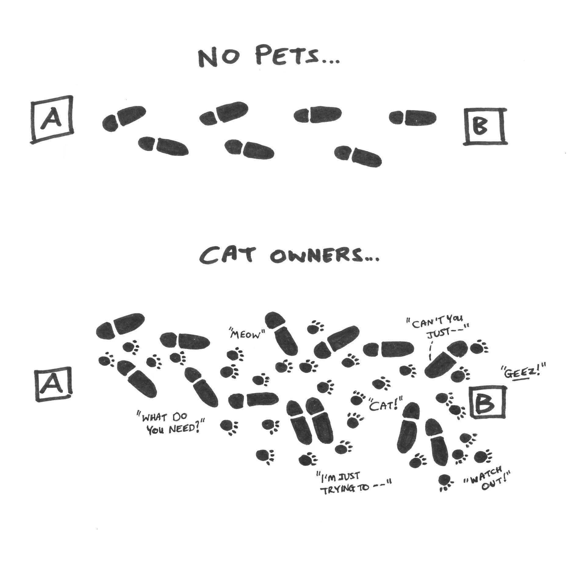 Cole - Every meowning I shuffle around on my way to the kitchen! 😸🐾 # ...
