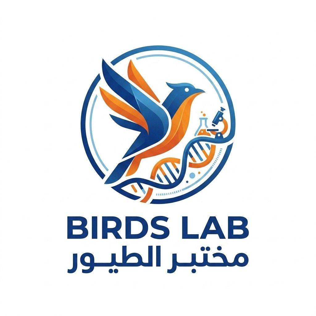 Birds Lab | Tangier