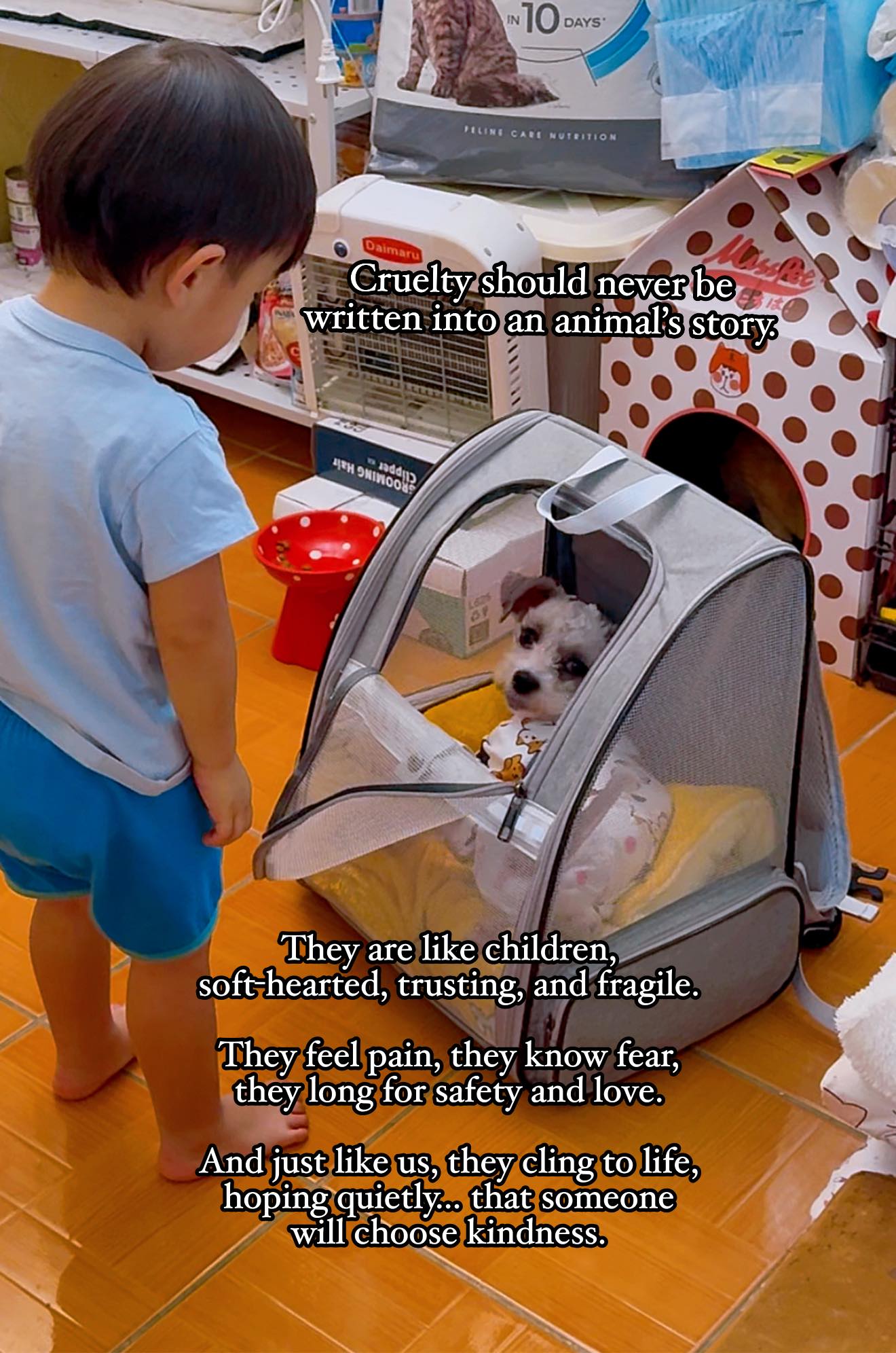 The Cat - And what do we get from rescuing an animal? We get nothing ...