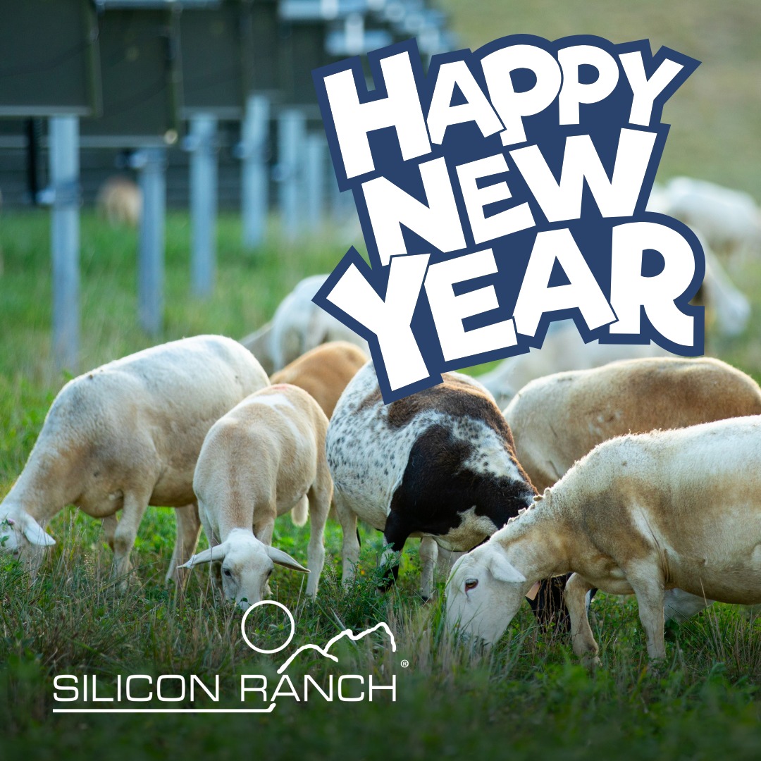 Silicon Ranch Corporation... - Silicon Ranch Corporation