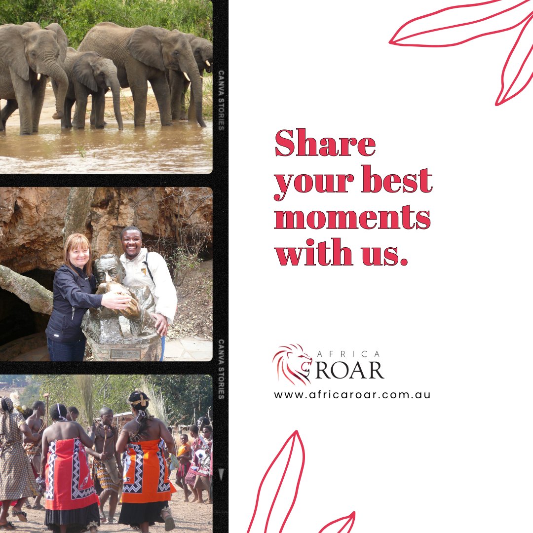 Africa - Share your favourite Africa Roar memories and let the world ...