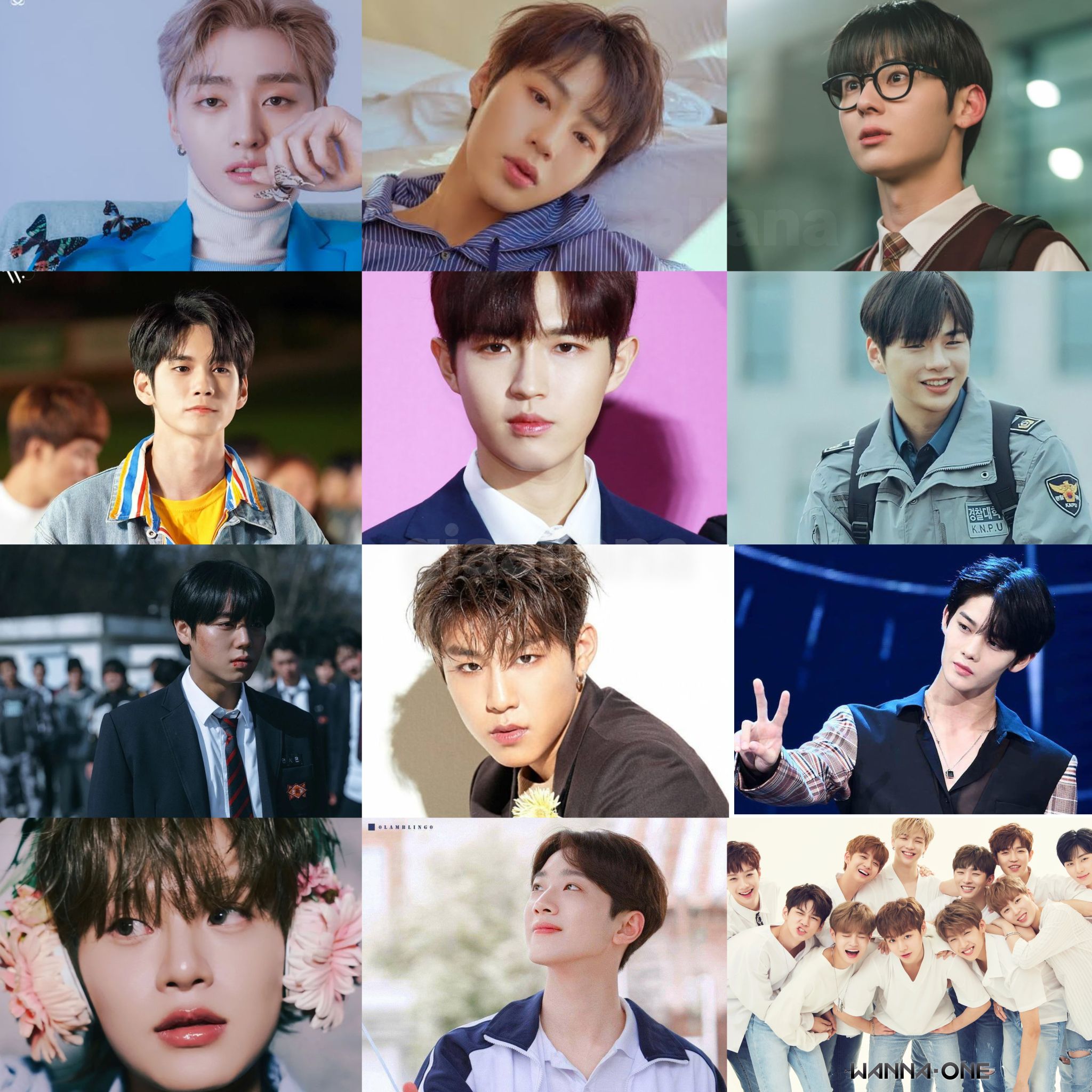 K-POP/アジア WANNA ONE  7/11 Wanna One's first OT11 group photo in 2026 🤍