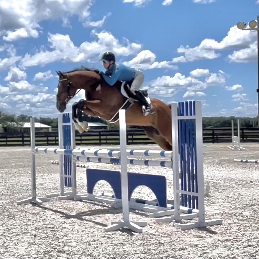 Lucce🩷 and I had our first horse show today at World Equestrian Center ...