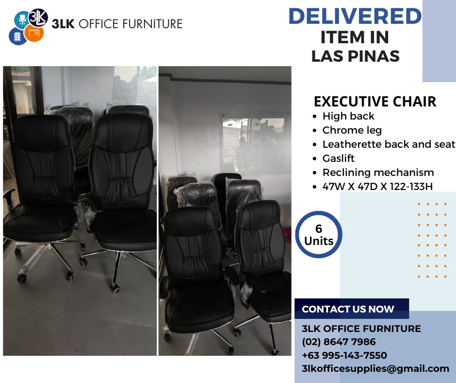 3LK - Delivered in: 𝐋𝐀𝐒 𝐏𝐈𝐍𝐀𝐒 Date: 𝟏𝟐/𝟎𝟔/𝟐𝟓 Item: 𝐄𝐗𝐄𝐂𝐔𝐓𝐈𝐕𝐄 𝐂𝐇𝐀𝐈𝐑 ...