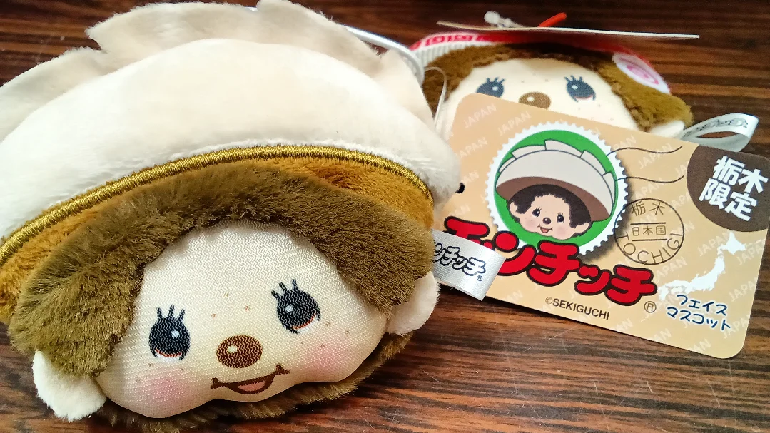 こんにちは✨️ 栃木限定😍モンチッチのご紹介です👏 ちょこんと乗った
