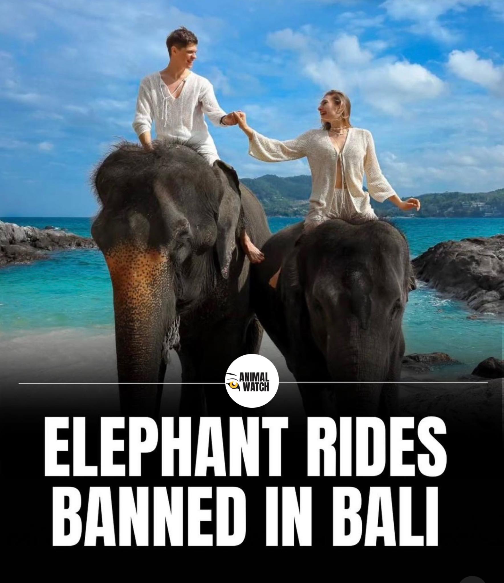 Anneka - Bali bans elephant rides 🐘 In a landmark move for animal ...