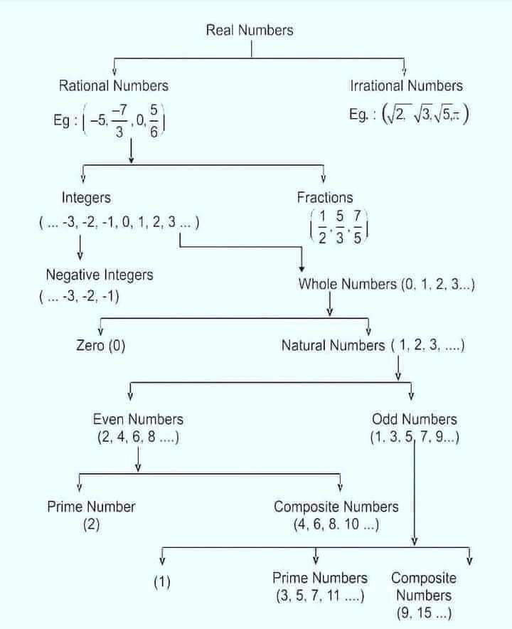 Omega mathគណិតវិទ្យា