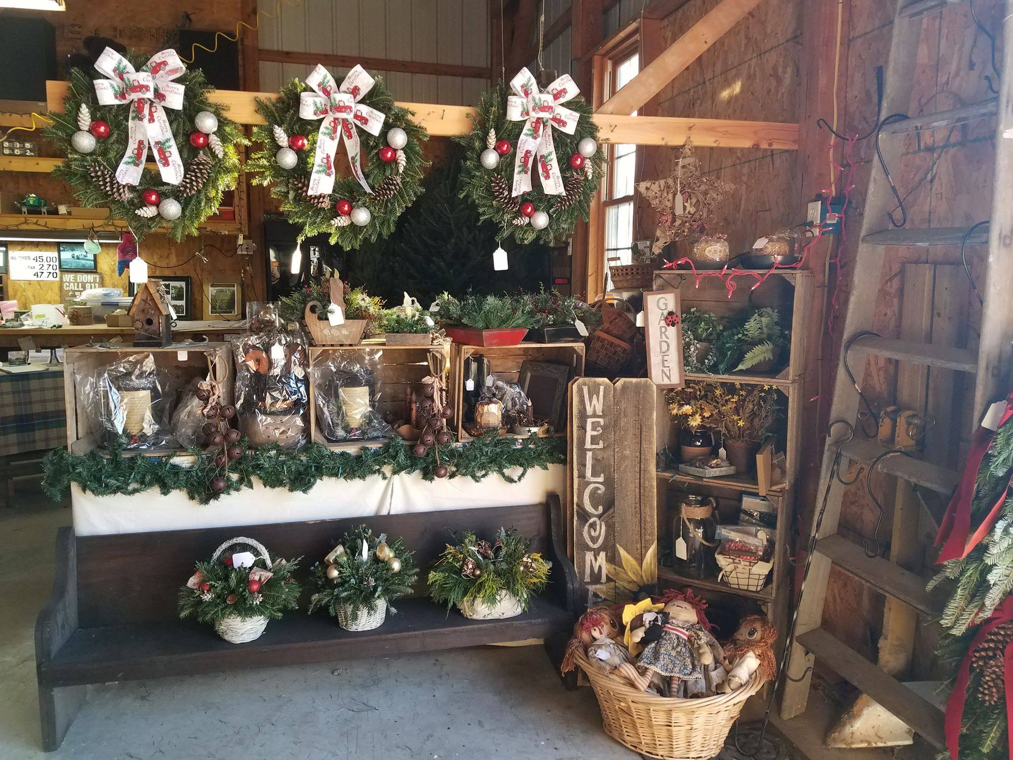 Warner Christmas Tree Farm | Spring Grove PA