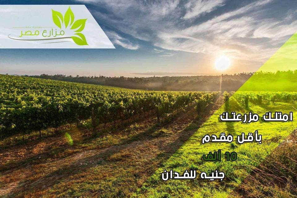 مزارع مصر بتقدملك... - أمتلك مزرعتك بسعر التكلفه