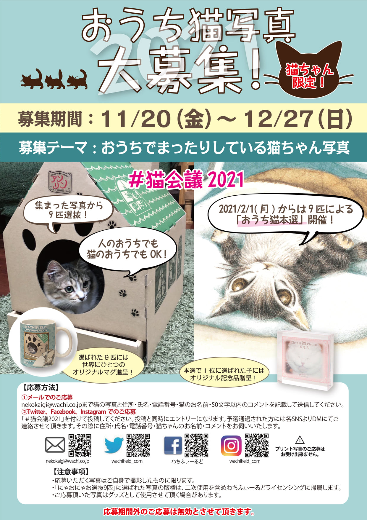 わちふぃーるど 猫会議2021 おうち猫写真大募集 おうちでまったりしている猫ちゃん写真を大募集 Facebook