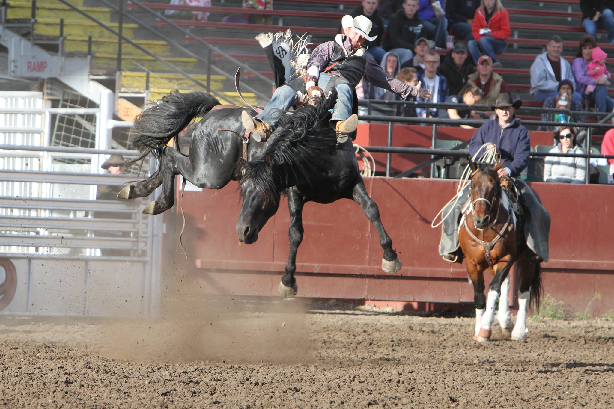 Clayton Rodeo | Clayton WA