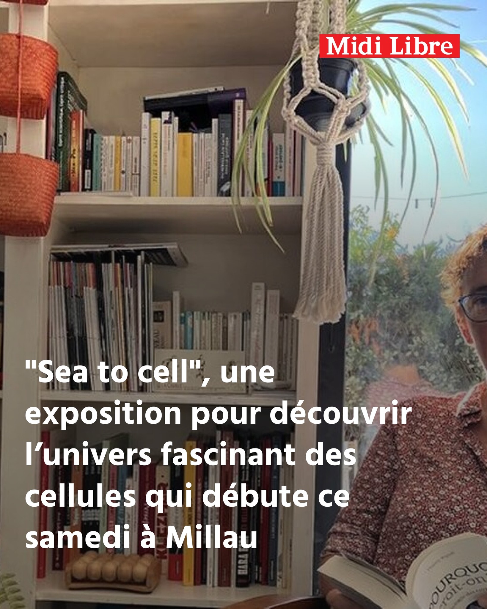 Midi - 