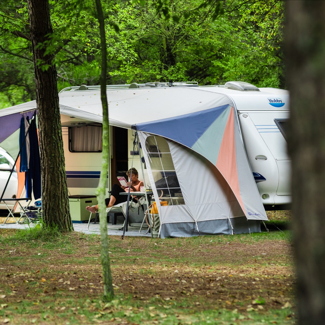 gasheizung camping zelt Propangas Heizung 2.34 KW Tragbarer Gasheizer für Garage Size:Youth S Nate Smith The best e-mountainbike of