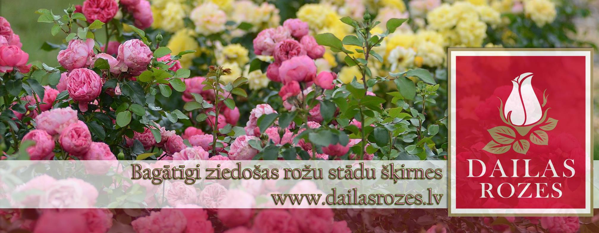 Dailas Rozes | Seme