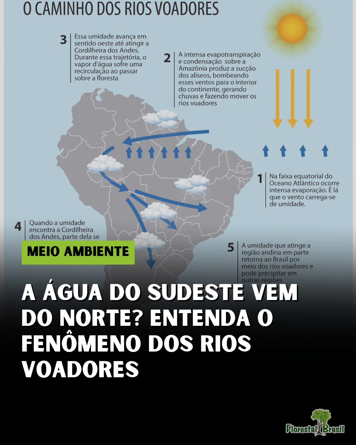 Florestal - Se você mora no Sul, Sudeste ou Centro-Oeste do Brasil e ...