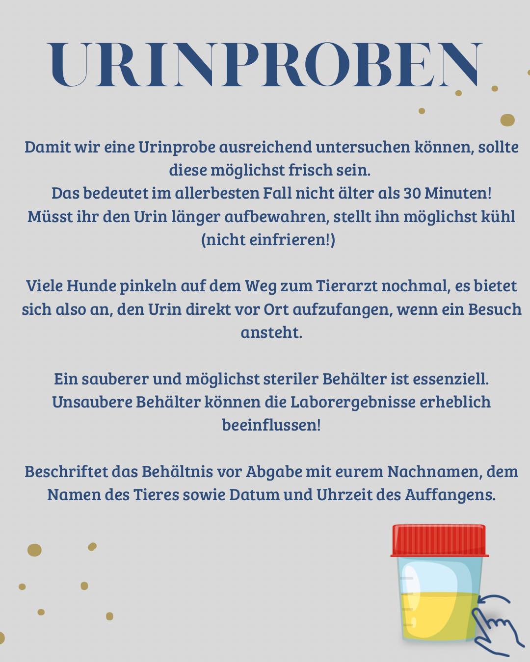fahrradsattel mtb männer Sattel für mehr Komfort im Gelände Stickergröße:Front M Joghurtdressing | haltbar – category:Haushalt & Reinigung