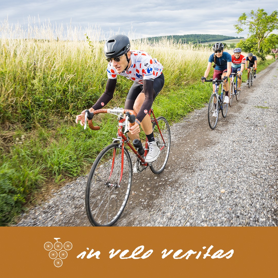 dachzelt 4 personen test Elements Gen II Farbe:Crystal Pink Klickpedal MIFA Compact Comfort Plus